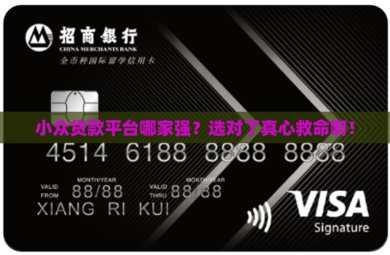 小众贷款平台哪个好