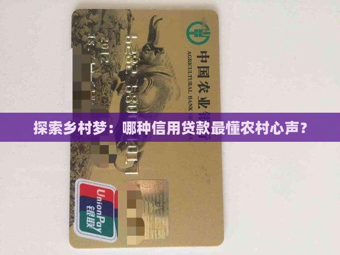农村信用贷款类型