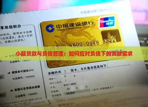 小额贷款有负债