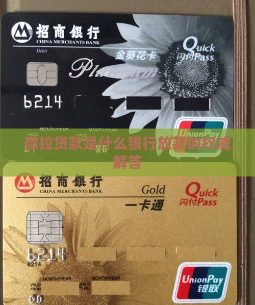 微拉贷款是什么银行
