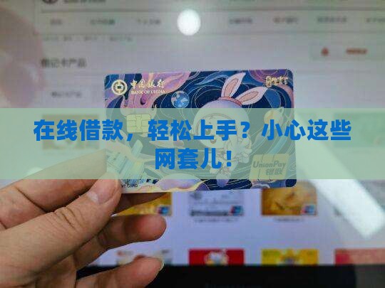 向网络平台贷款