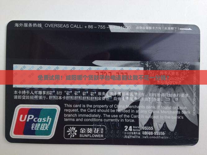 咸阳免押金贷款平台电话