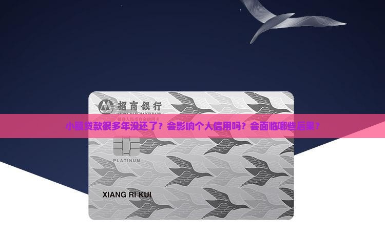 小额贷款很多年没还了