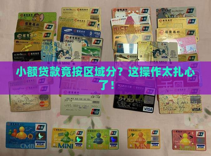 小额贷款按区域跟
