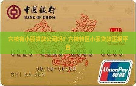 六枝有小额贷款