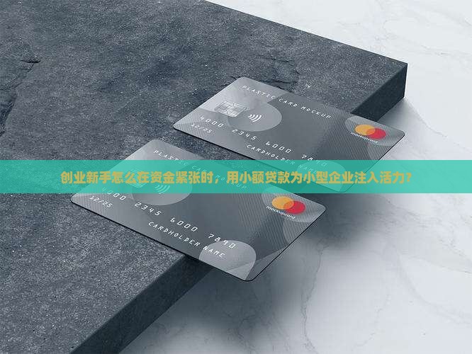 小额贷款万的小型企业