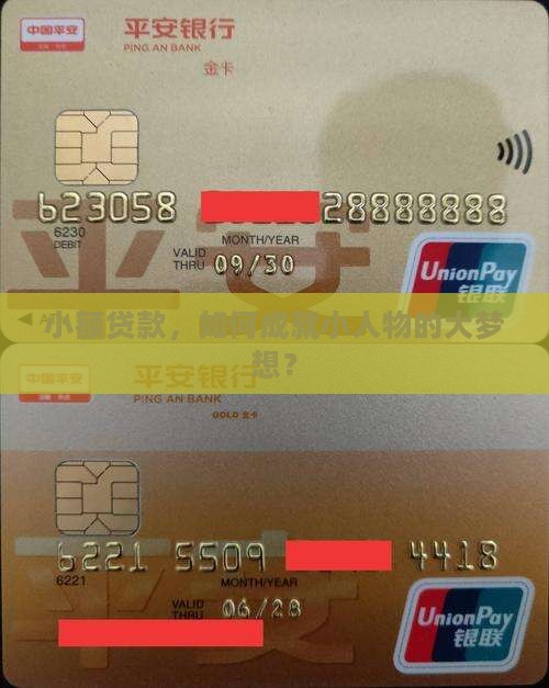 小额贷款的案例分析