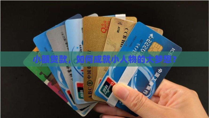小额贷款的案例分析