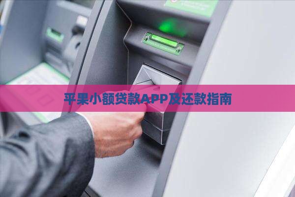 平果小额贷款 平果小额贷款