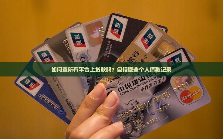 如何查所有平台上贷款吗