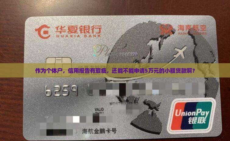 征信有案底的能贷款吗