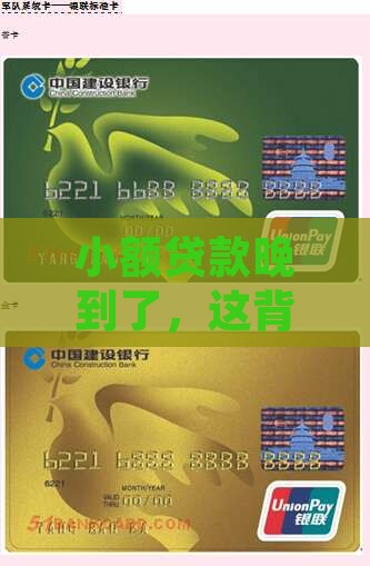 小额贷款迟了