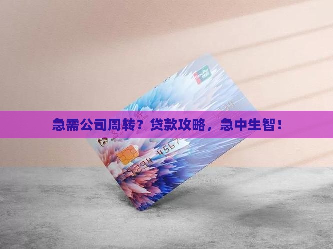 怎么办公司贷款