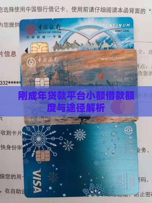 刚成年贷款平台小额