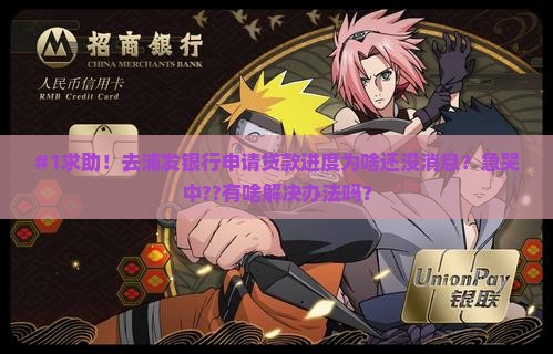 去浦发银行申请贷款进度
