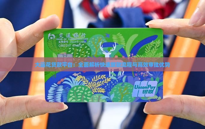 大运花贷款平台