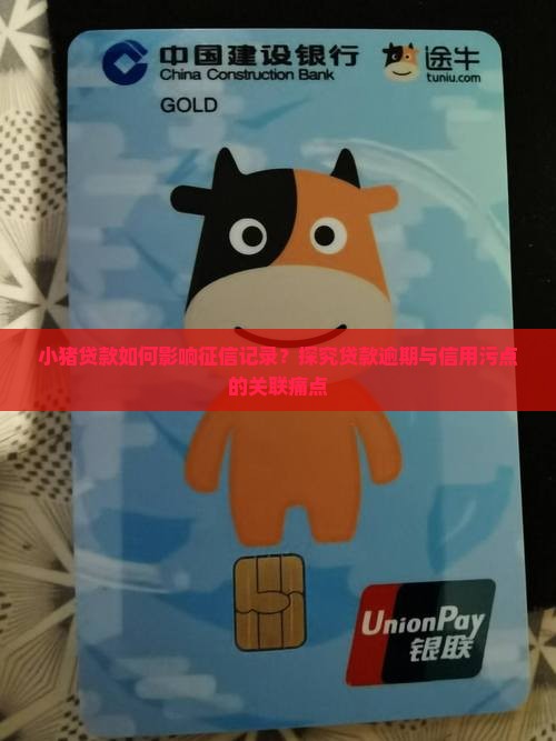 小猪贷款上征信吗