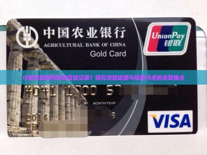 小猪贷款上征信吗