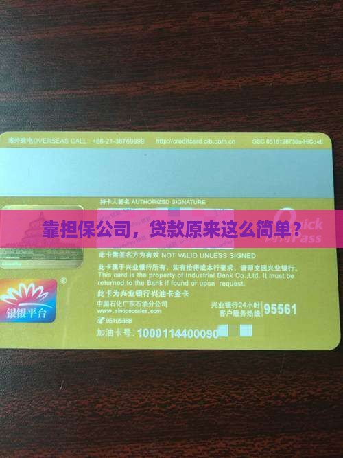 可以通过担保公司贷款