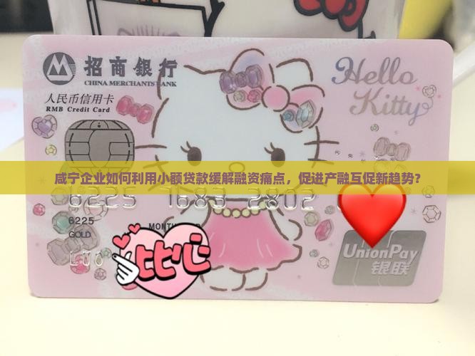 咸宁企业小额贷款