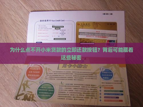小米贷款点不了立即还款