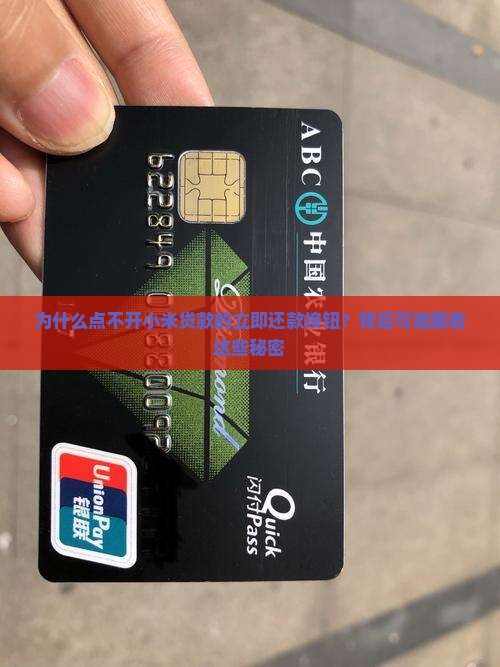 小米贷款点不了立即还款
