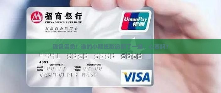 小额贷款逾期很多个