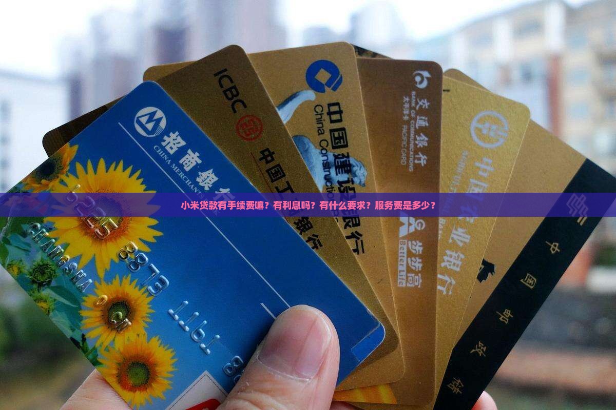 小米贷款有手续费嘛