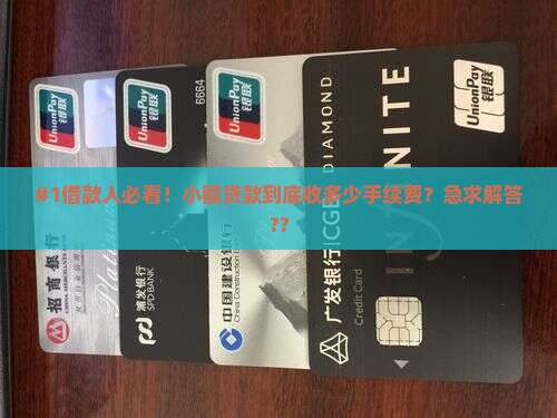 小额贷款用什么手续费吗