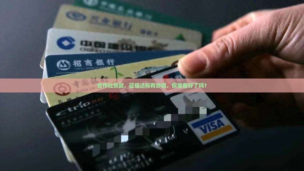 合作社贷款征信要求