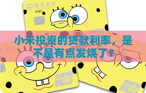 小米投资贷款利率高吗