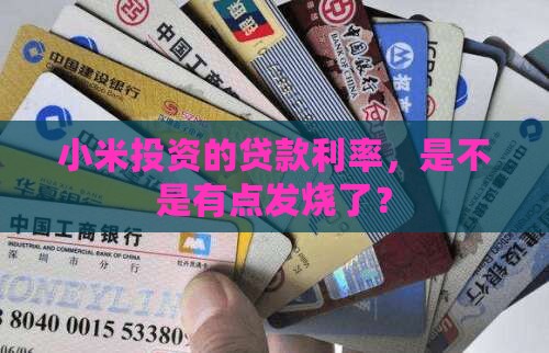 小米投资贷款利率高吗