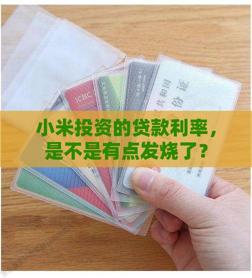 小米投资贷款利率高吗
