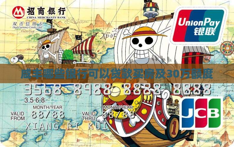 咸丰哪些银行可以贷款