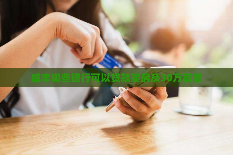 咸丰哪些银行可以贷款