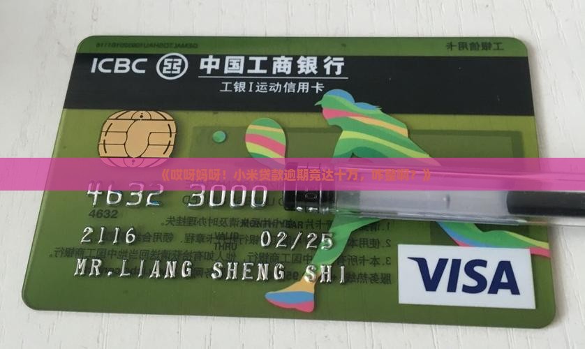 小米贷款逾期十万