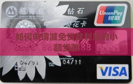 小额贷款怎么申请减免