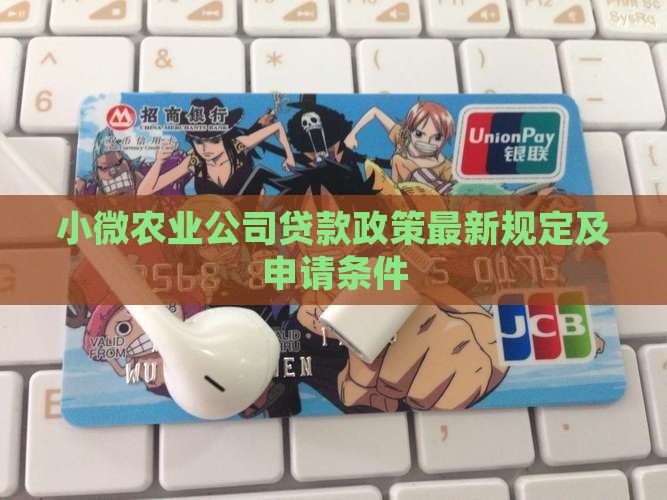 小微农业公司贷款政策