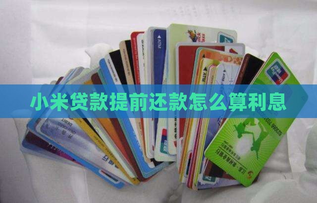 小米贷款提前结清利息