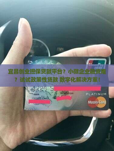 宜昌创业担保贷款平台