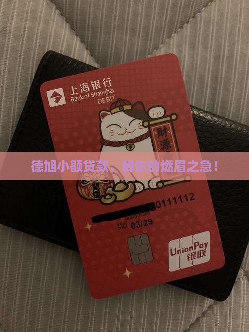 德旭小额贷款