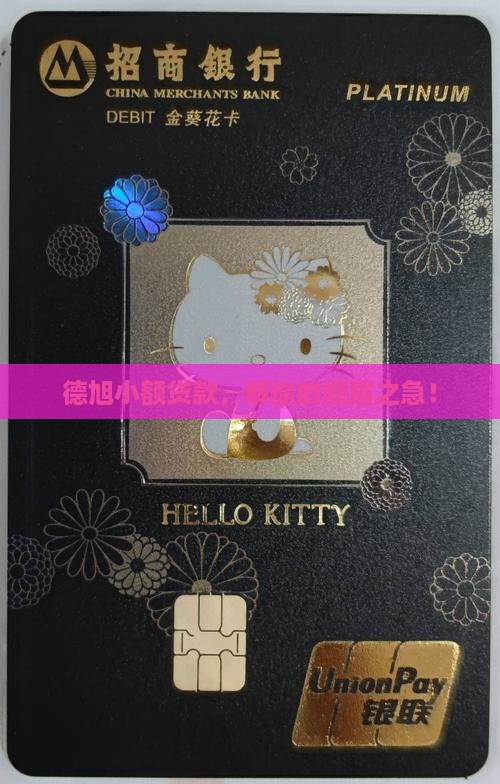 德旭小额贷款