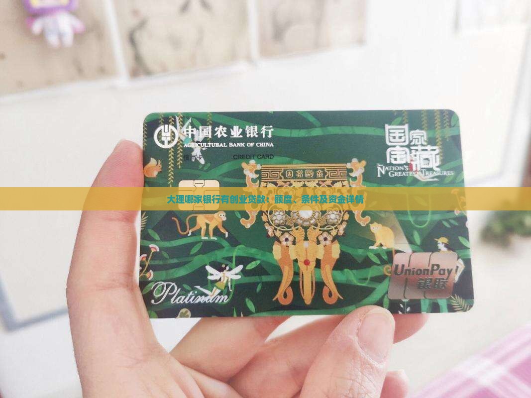 大理哪家银行有创业贷款