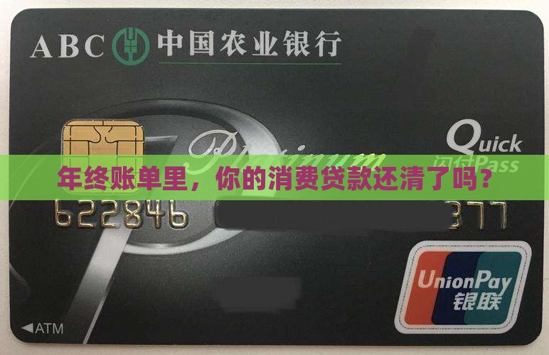 年还的消费贷款