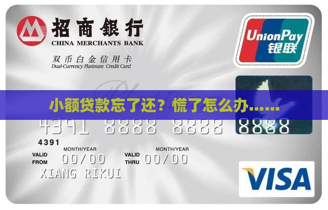 小额贷款忘了怎么办