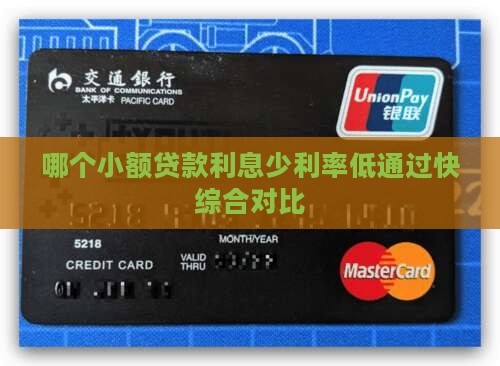 哪个小额贷款利息少