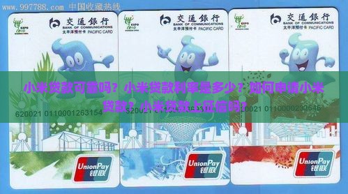 大家的小米贷款