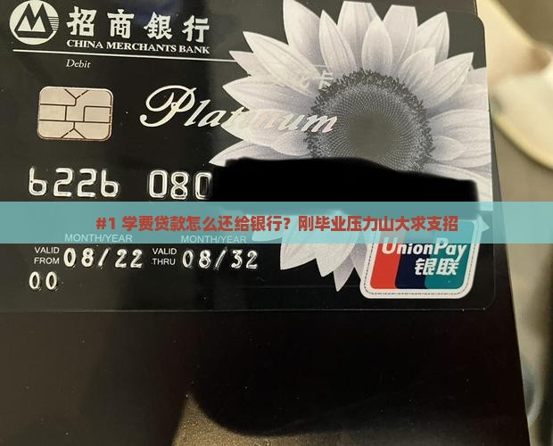 学费贷款怎么还给银行