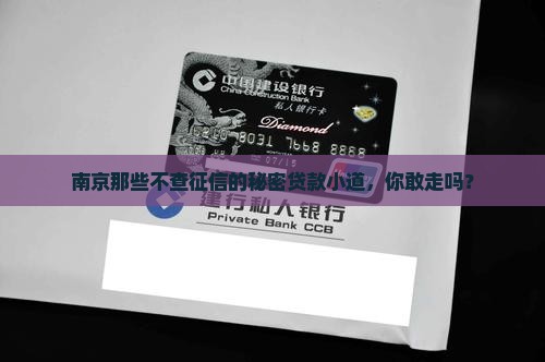 南京不走征信的贷款平台