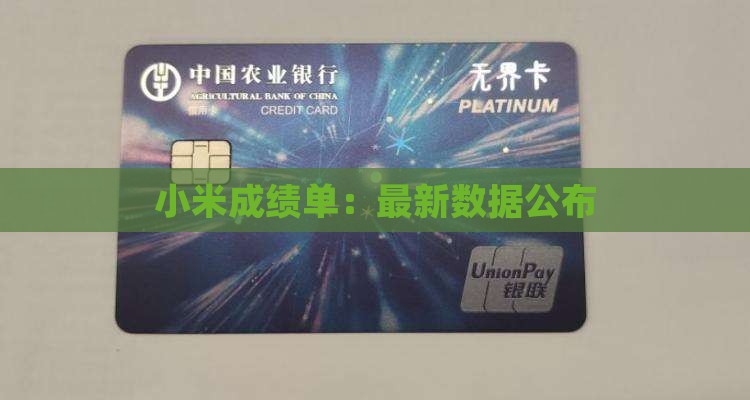 小米贷款最新成绩单